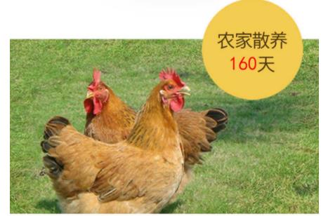 佰富彩-清静购彩大厅官网