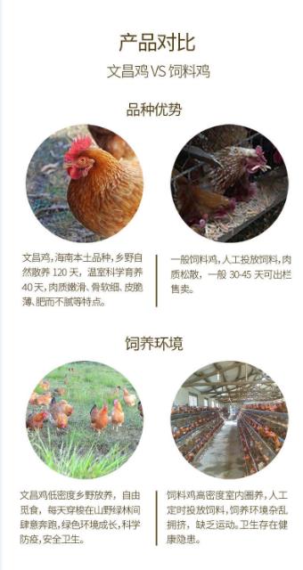 佰富彩-清静购彩大厅官网