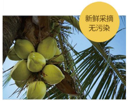 佰富彩-清静购彩大厅官网