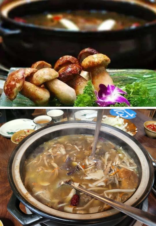【每周优品】开创菌汤新时代，，是野生菌调味品食材标杆品牌！ - 佰富彩有限公司官网