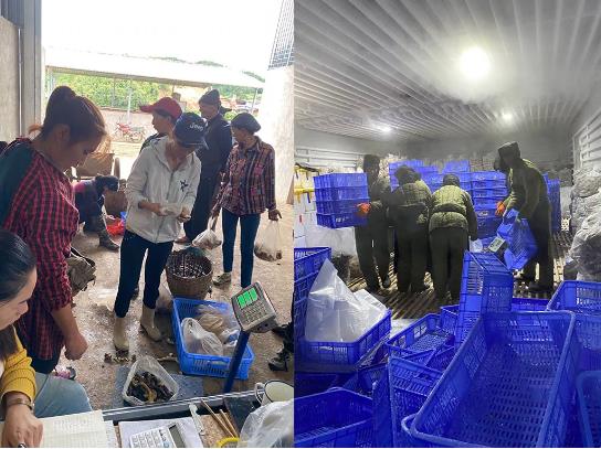 【每周优品】开创菌汤新时代，，是野生菌调味品食材标杆品牌！ - 佰富彩有限公司官网